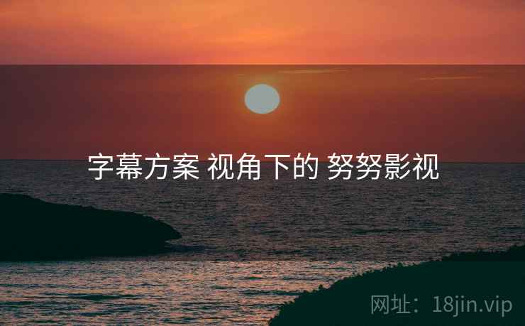 字幕方案 视角下的 努努影视