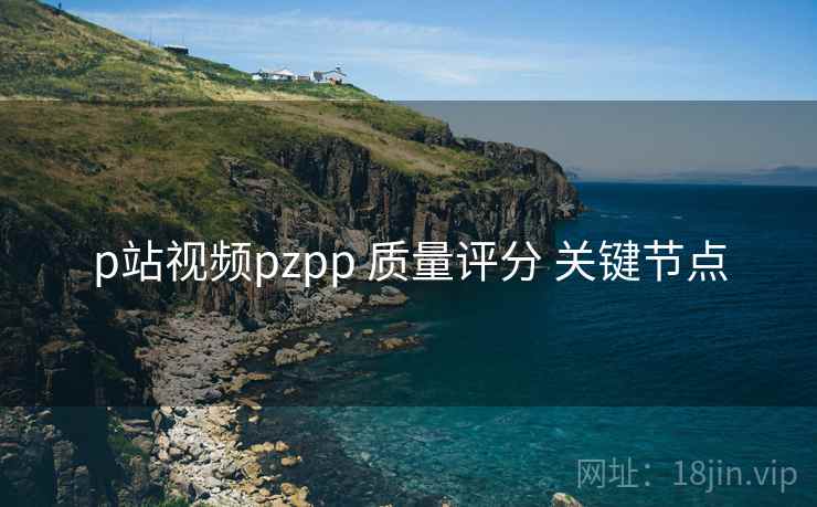 p站视频pzpp 质量评分 关键节点
