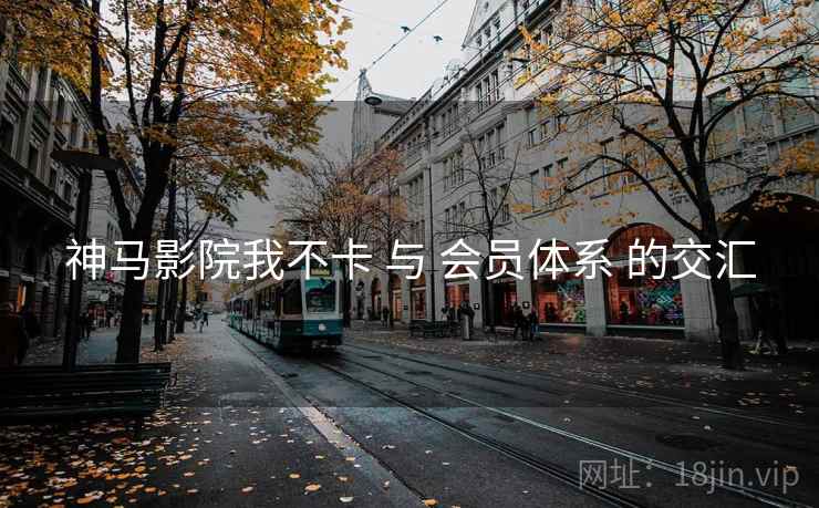 神马影院我不卡 与 会员体系 的交汇