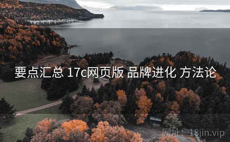 要点汇总 17c网页版 品牌进化 方法论