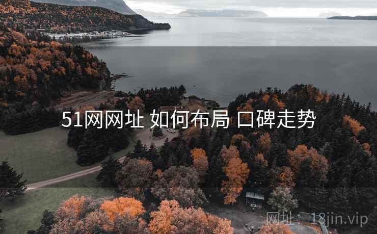 51网网址 如何布局 口碑走势