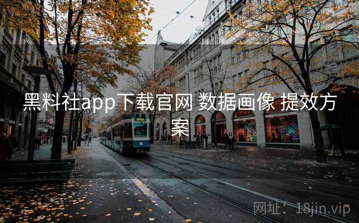 黑料社app下载官网 数据画像 提效方案