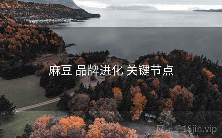 麻豆 品牌进化 关键节点