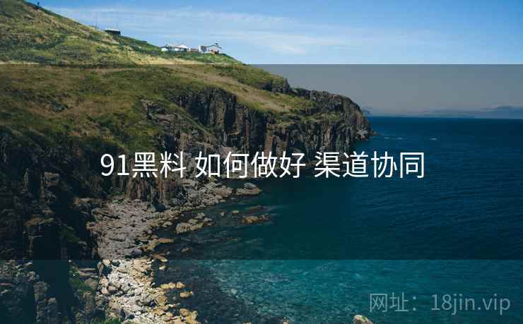 91黑料 如何做好 渠道协同